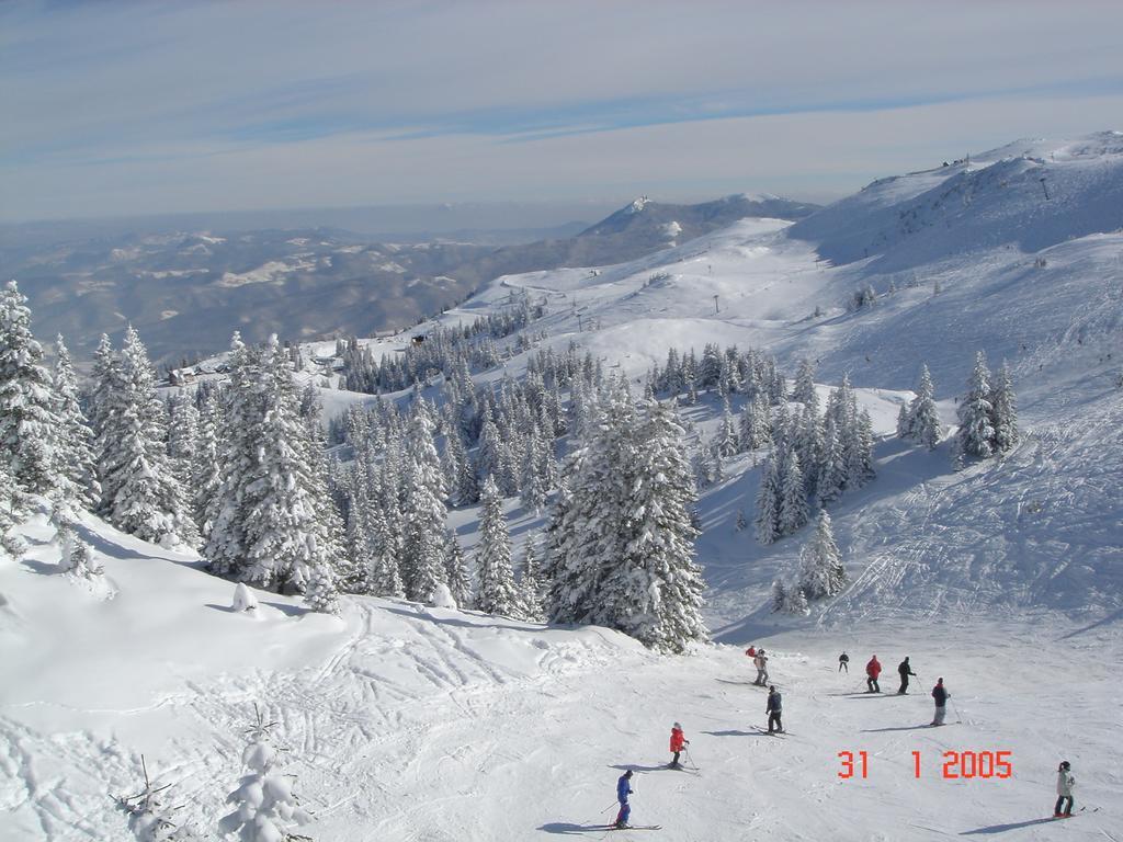 Bed And Breakfast Vila Lala Jahorina Esterno foto